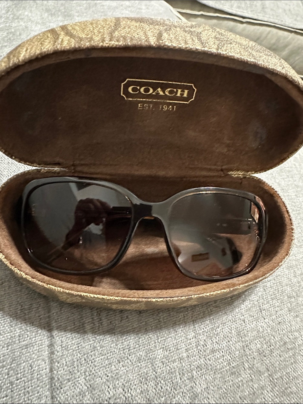 Coach Women's Glossy Brown Sunglasses with Brown Gradient Lenses